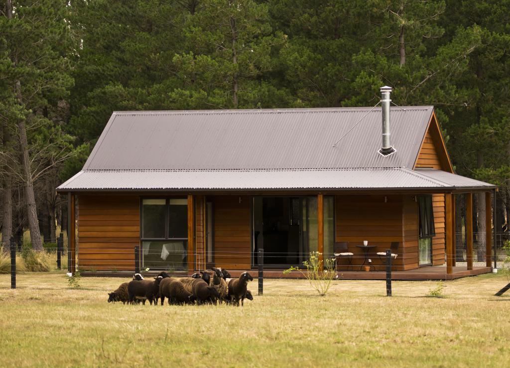 Woodbank Park Cottages Hanmer Springs Oda fotoğraf
