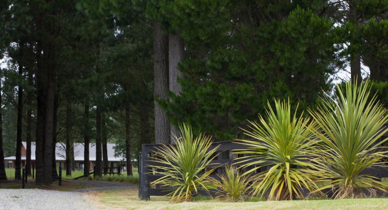 Woodbank Park Cottages Hanmer Springs Dış mekan fotoğraf